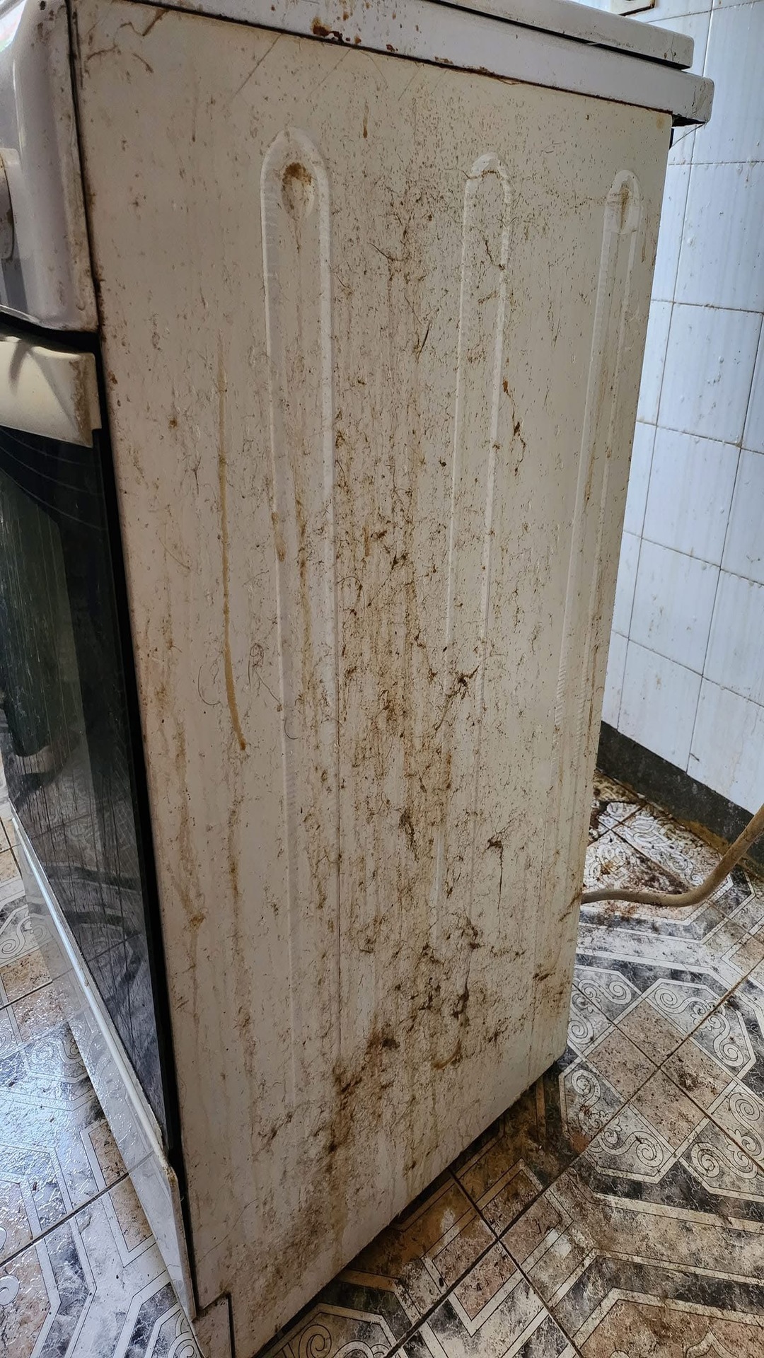 Before photo for Deep Cleaning