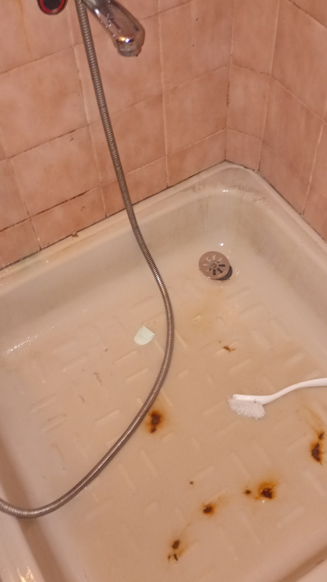 Before photo for Основно почистване