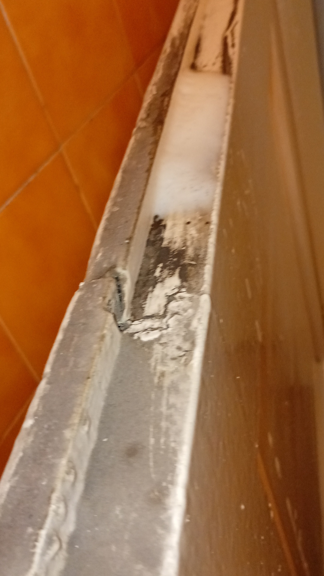 Before photo for Основно почистване