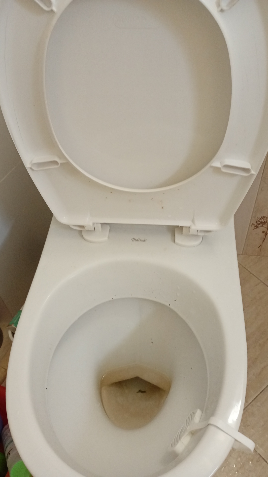 Before photo for Основно почистване